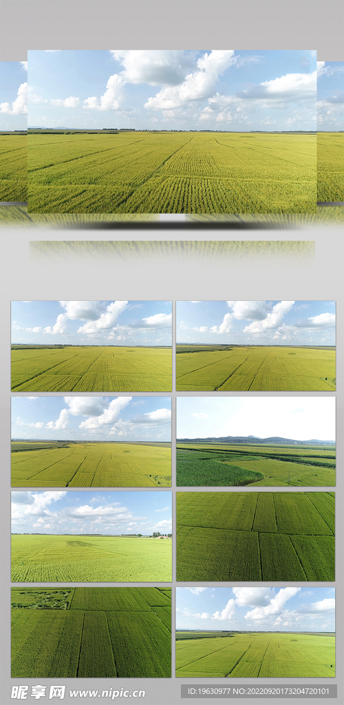 农田高帧高清视频