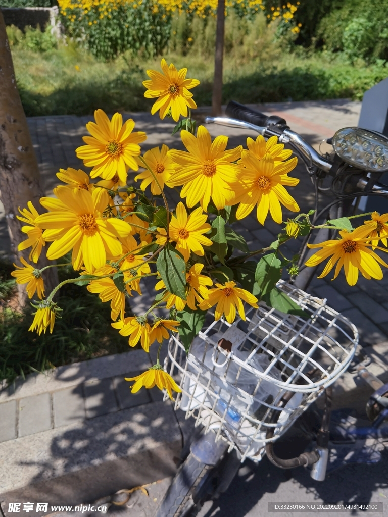 一篮子幸福花开