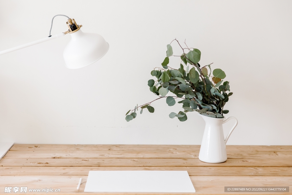 小清新桌面绿植