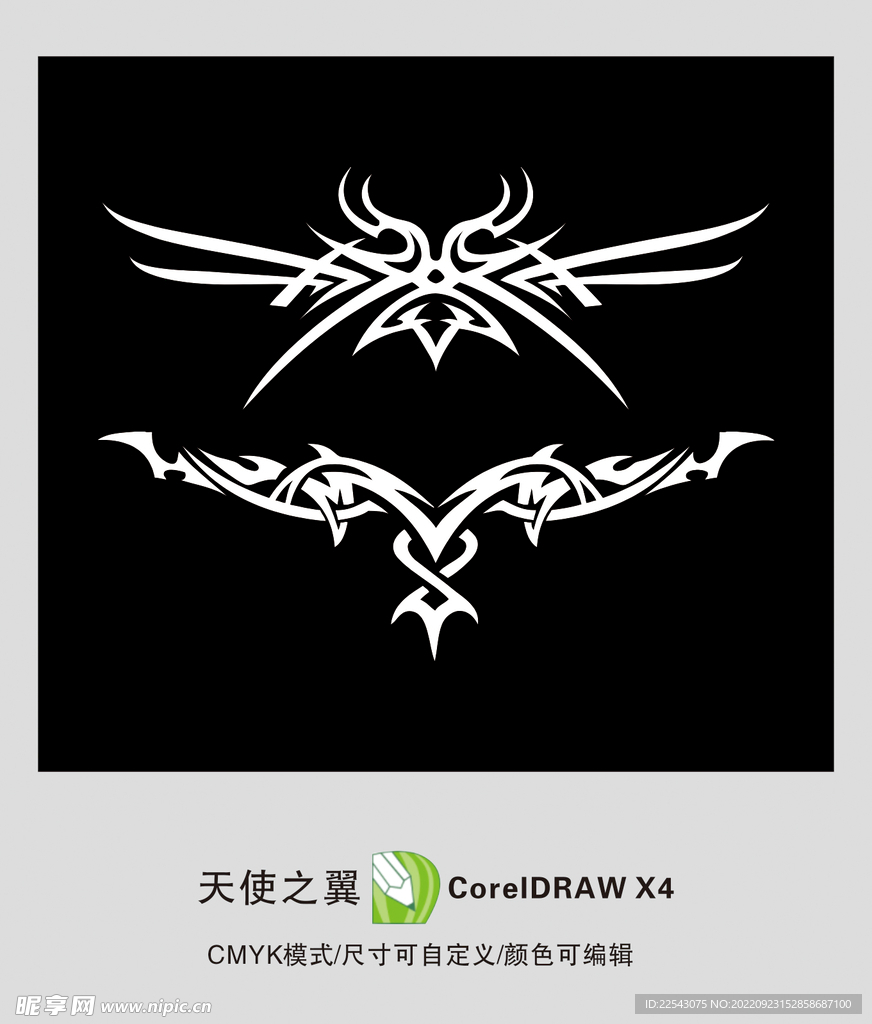 白色翅膀 翅膀展开