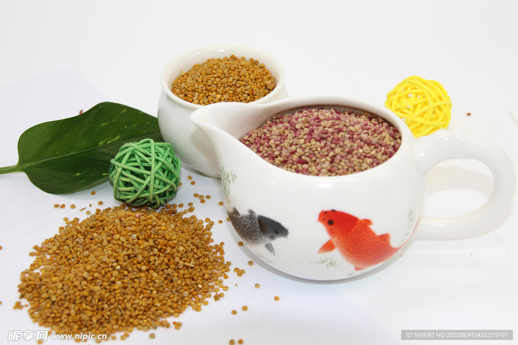 没去皮的藜麦种子