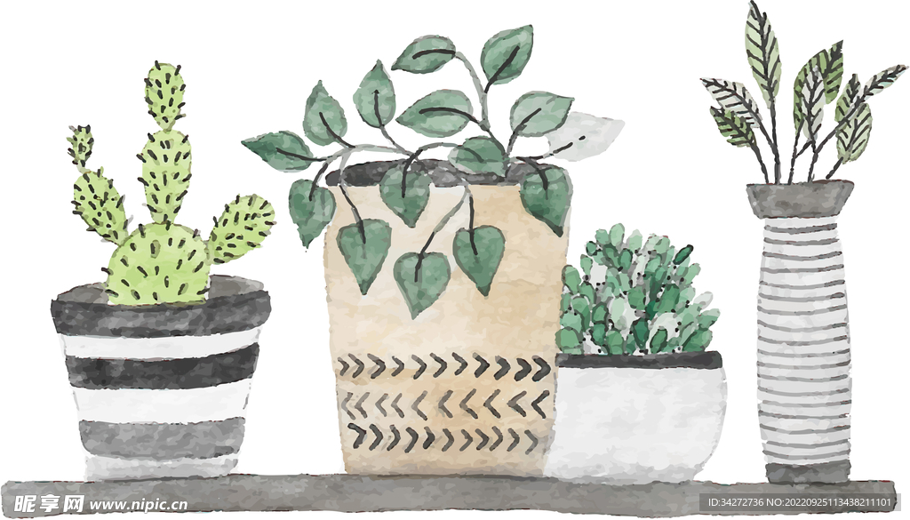 植物小盆栽绿植元素素材