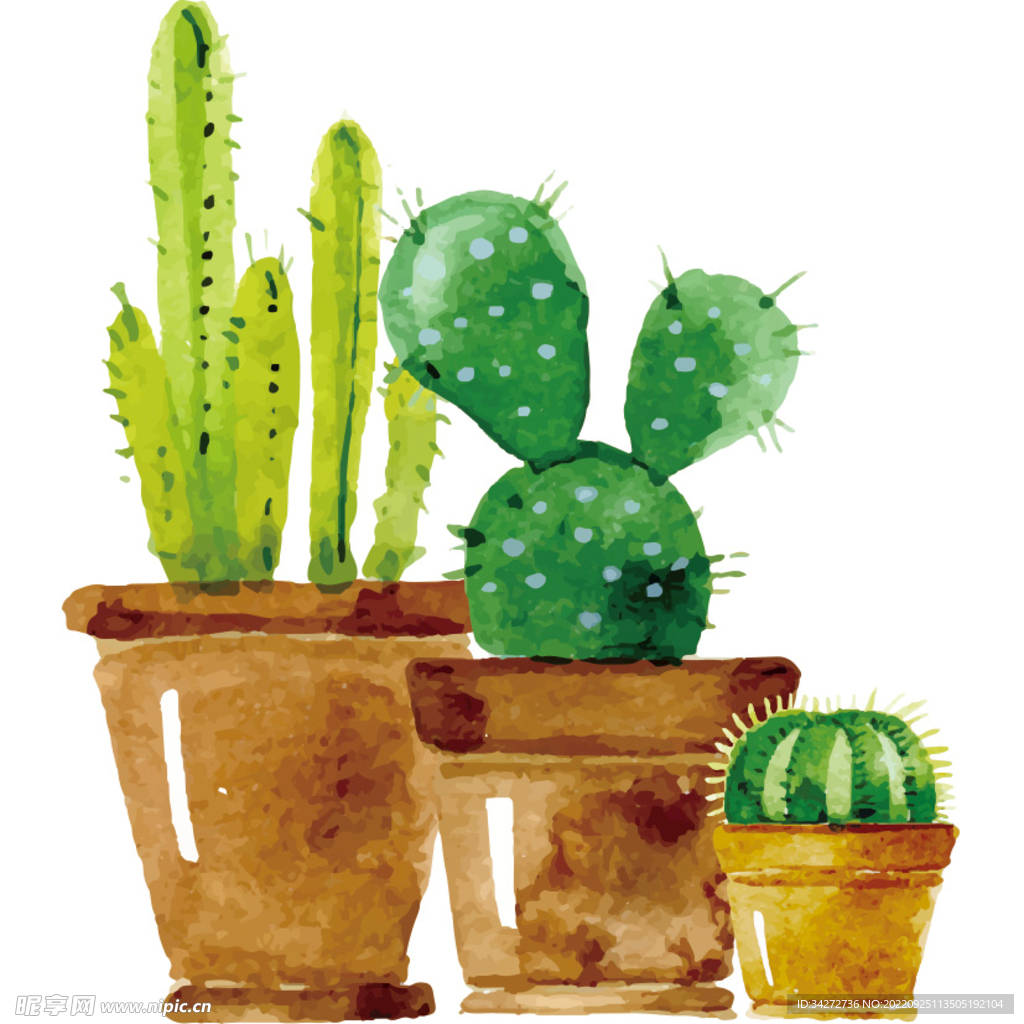 绿植 盆栽 仙人掌 仙人球