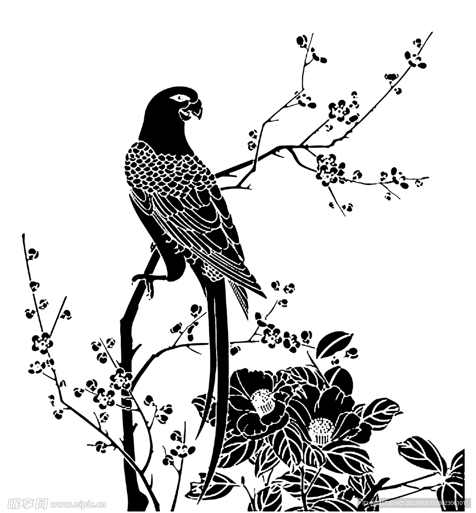 花鸟梅花矢量图