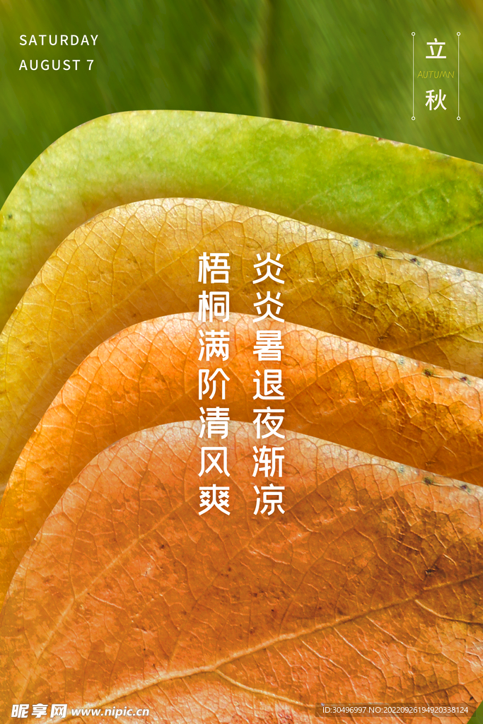 立秋二十四节气