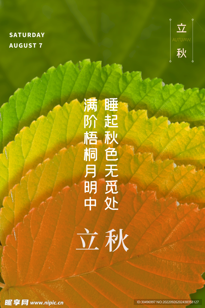 立秋二十四节气