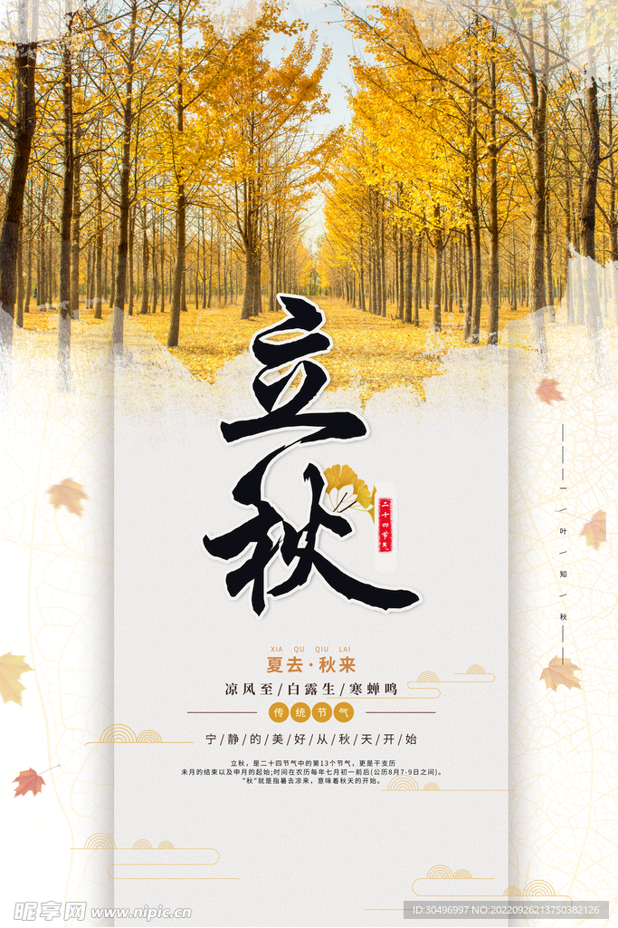 立秋二十四节气