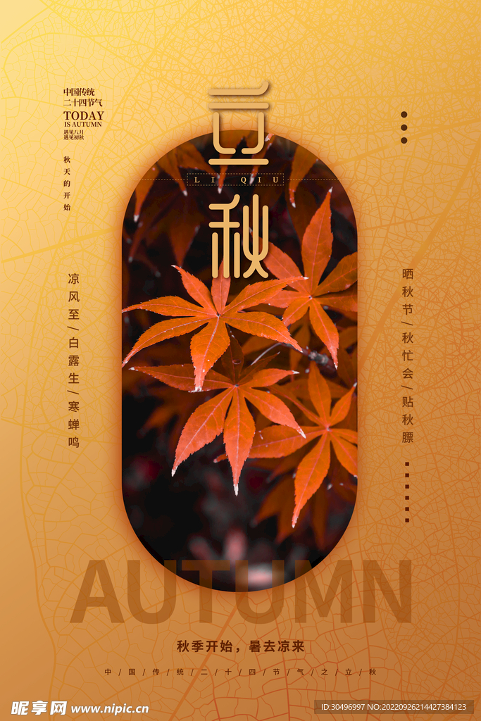 立秋二十四节气