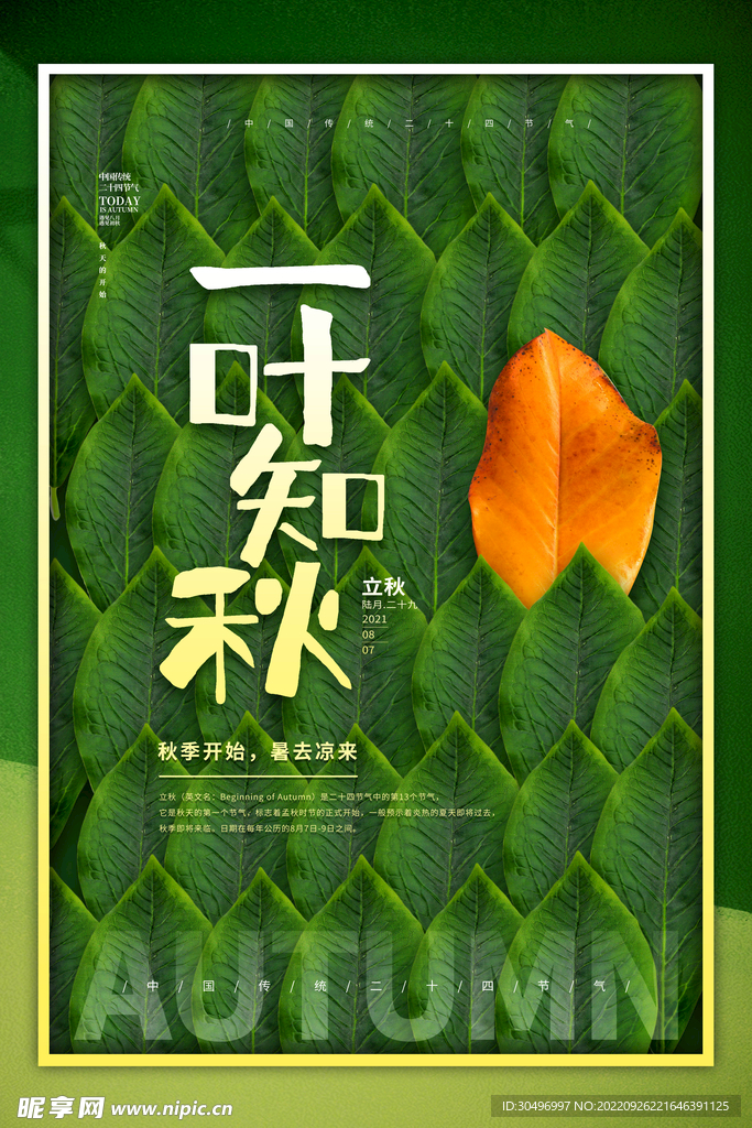 立秋二十四节气