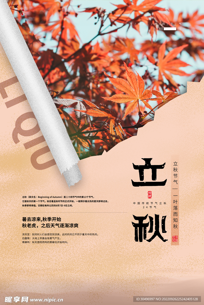 二十四节气立秋