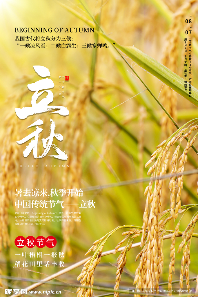 二十四节气立秋