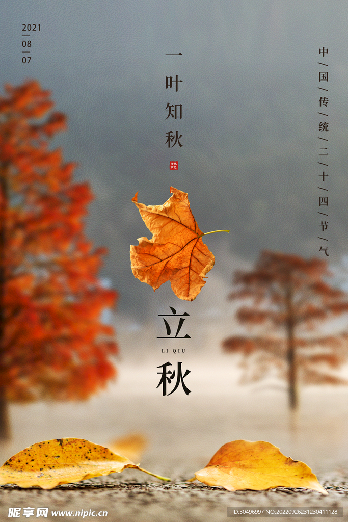 二十四节气立秋