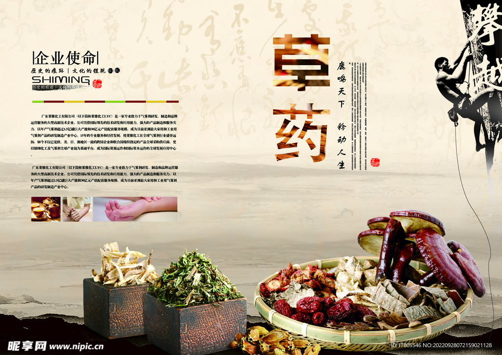 中草药  海报素材  中医文化