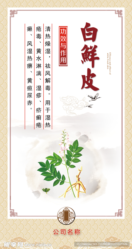 中草药  海报素材  中医文化