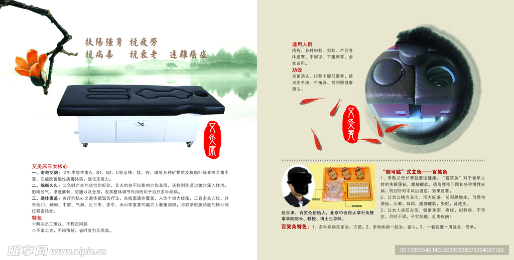 中草药  海报素材  中医文化