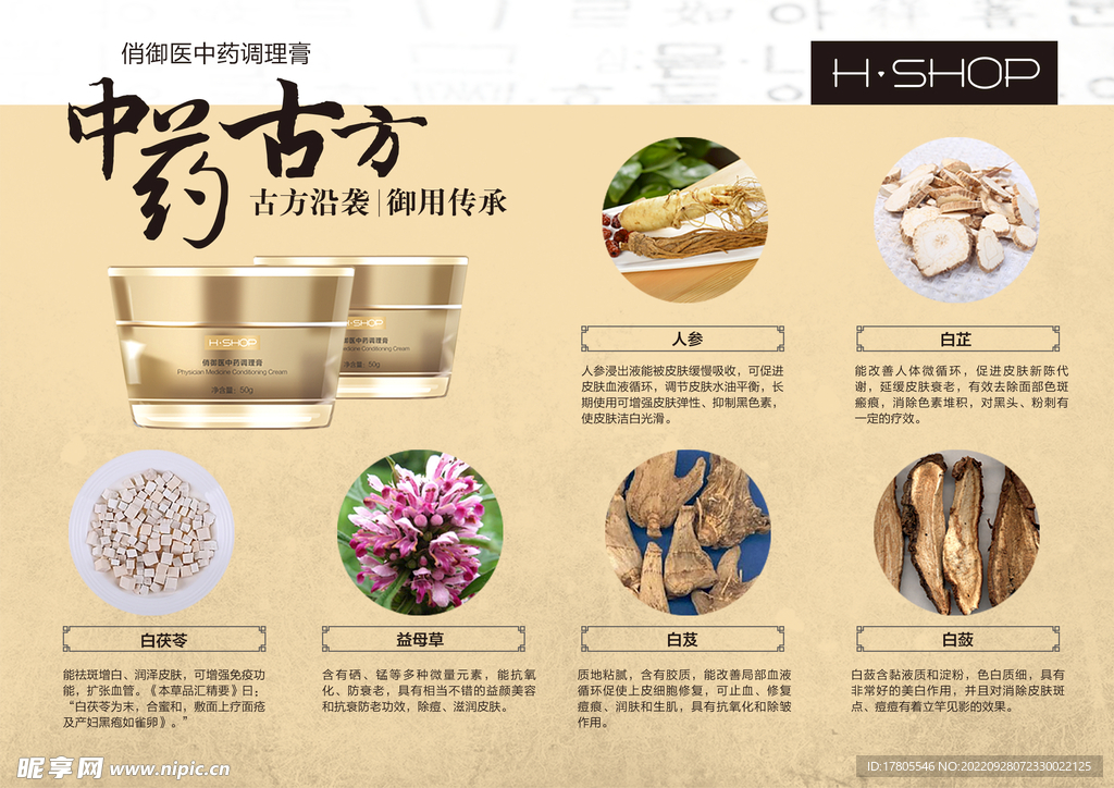 中草药  海报素材  中医文化