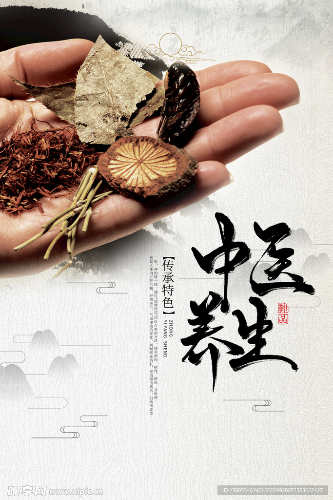 中草药  海报素材  中医文化