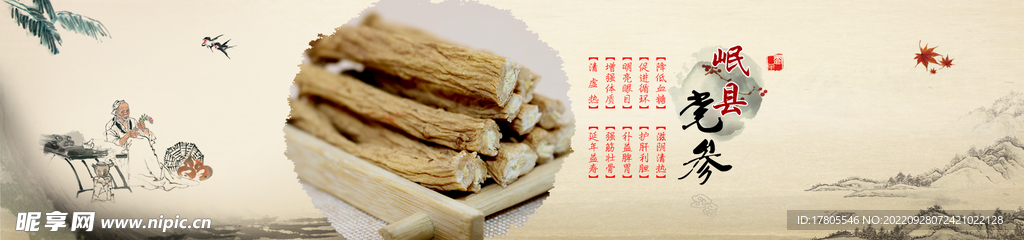 中草药  海报素材  中医文化