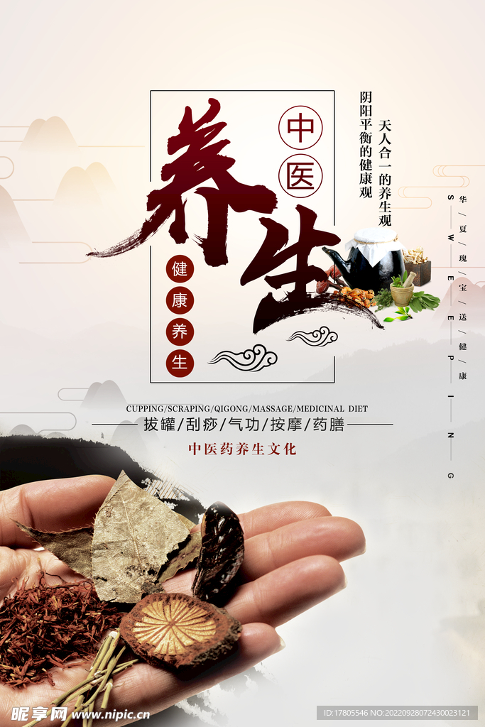 中草药  海报素材  中医文化