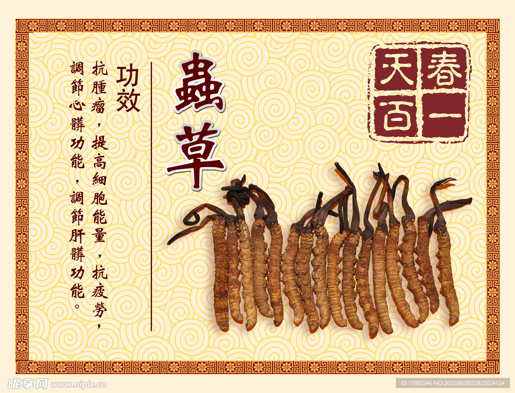 中草药  海报素材  中医文化