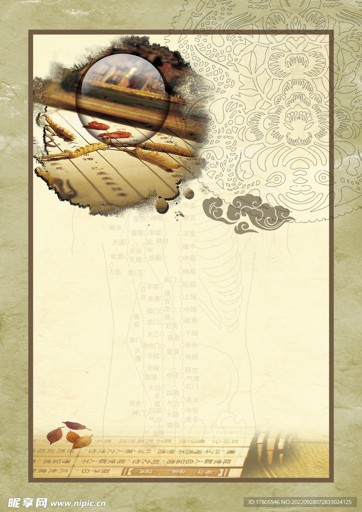 中草药  海报素材  中医文化