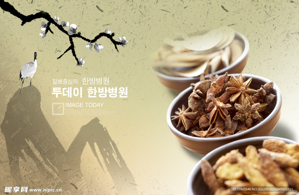 中草药  海报素材  中医文化