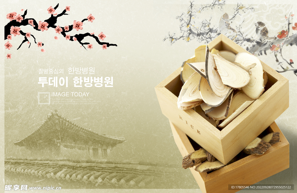 中草药  海报素材  中医文化