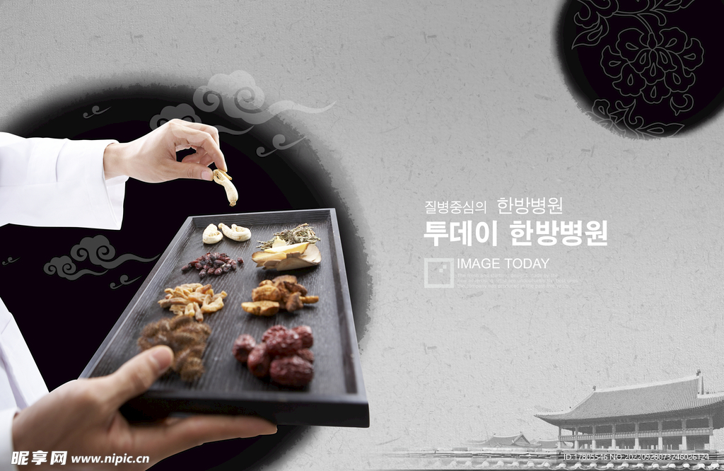 中草药  海报素材  中医文化