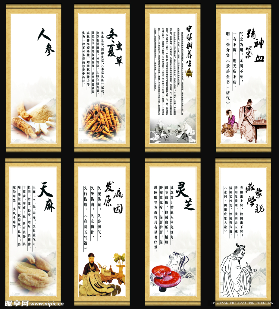 中草药  海报素材  中医文化