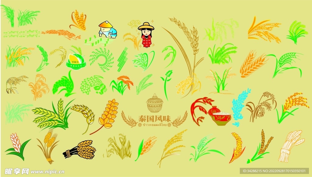 谷物设计元素