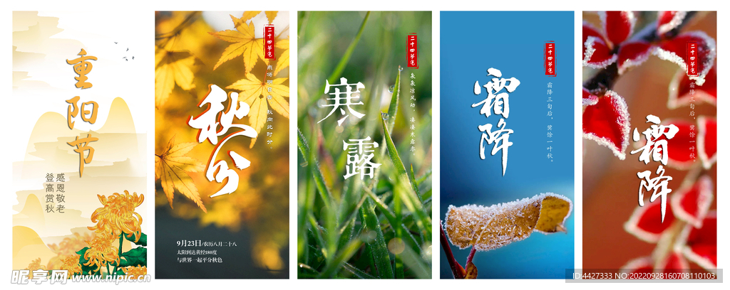 重阳 秋分 寒露 霜降 