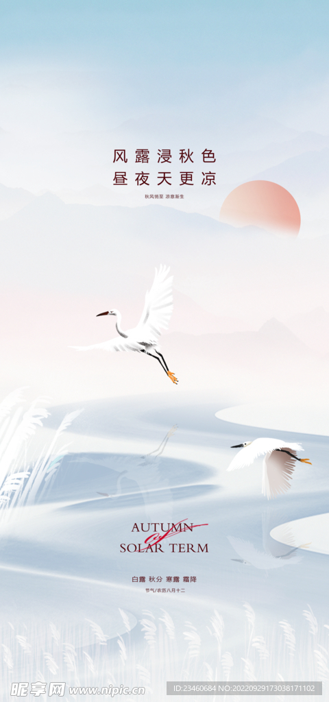 白露秋分寒露霜降