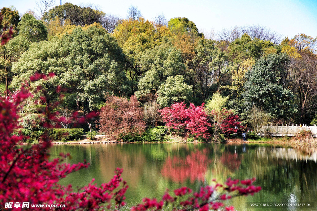 岳麓山穿石坡湖