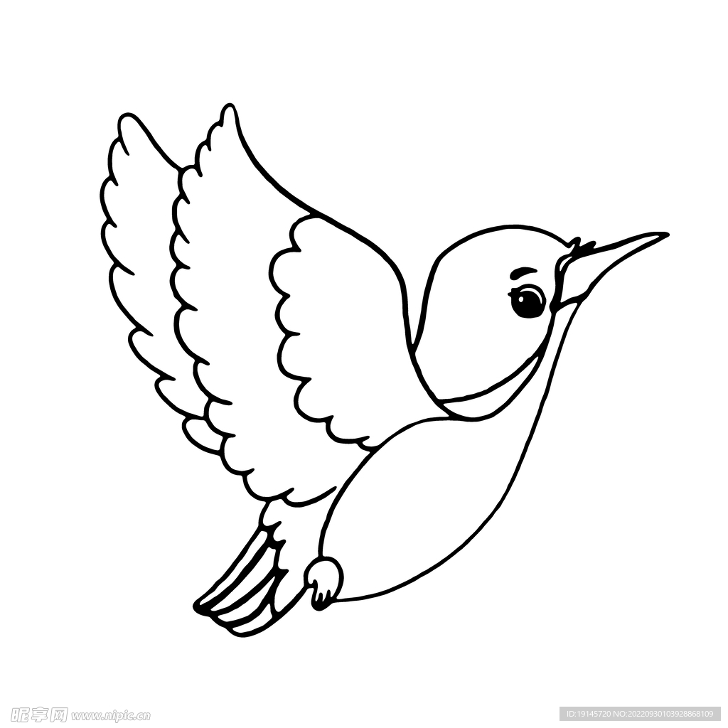 飞鸟线条矢量图