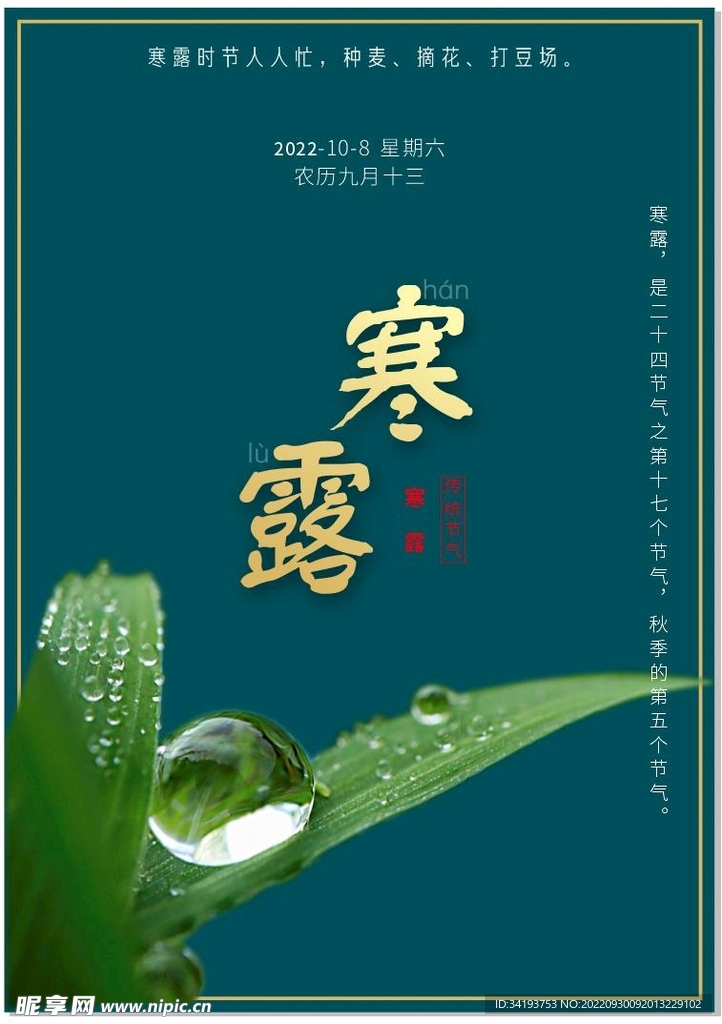 寒露节气海报  二十四节气