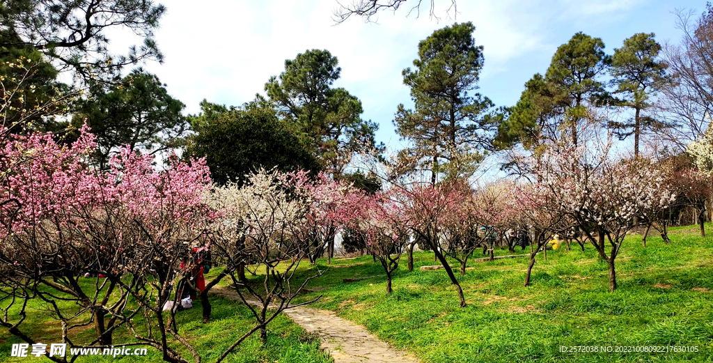 无锡梅园