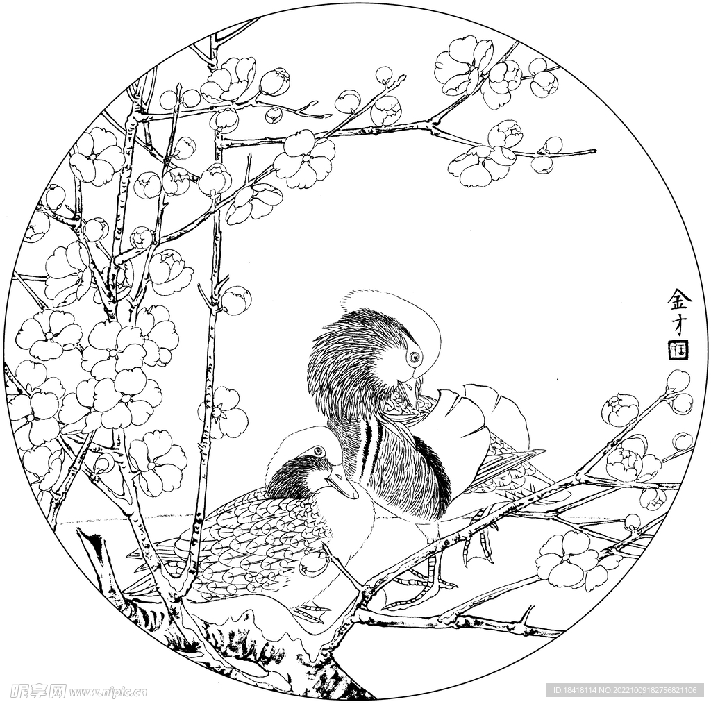 鸳鸯白描底稿