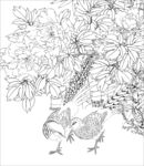 花鸟底稿