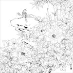 花鸟白描