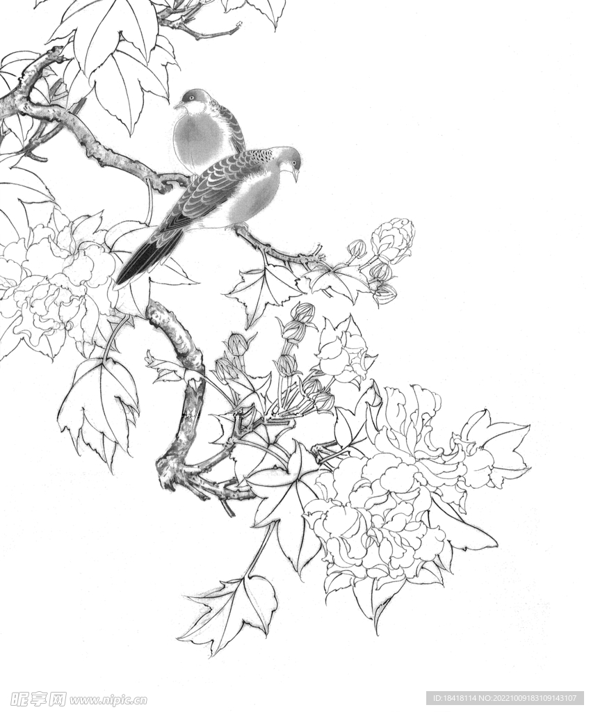 工笔画花鸟底稿