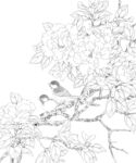 花鸟线描底稿