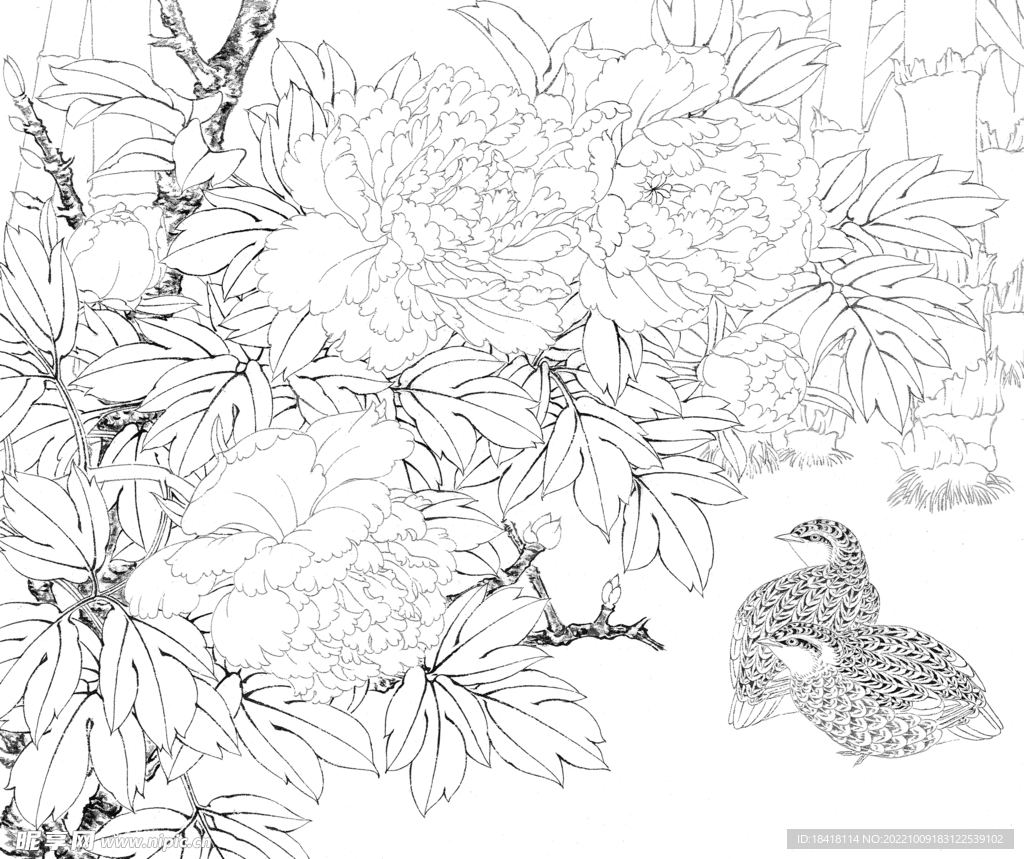 工笔画白描底稿