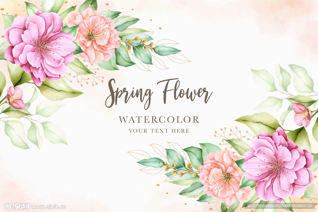 康乃馨手绘插画