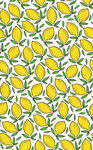 数码印花 柠檬