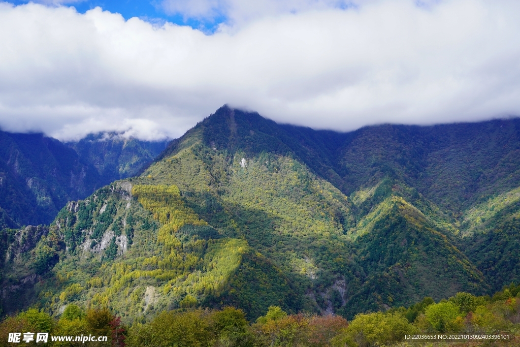 高山风景