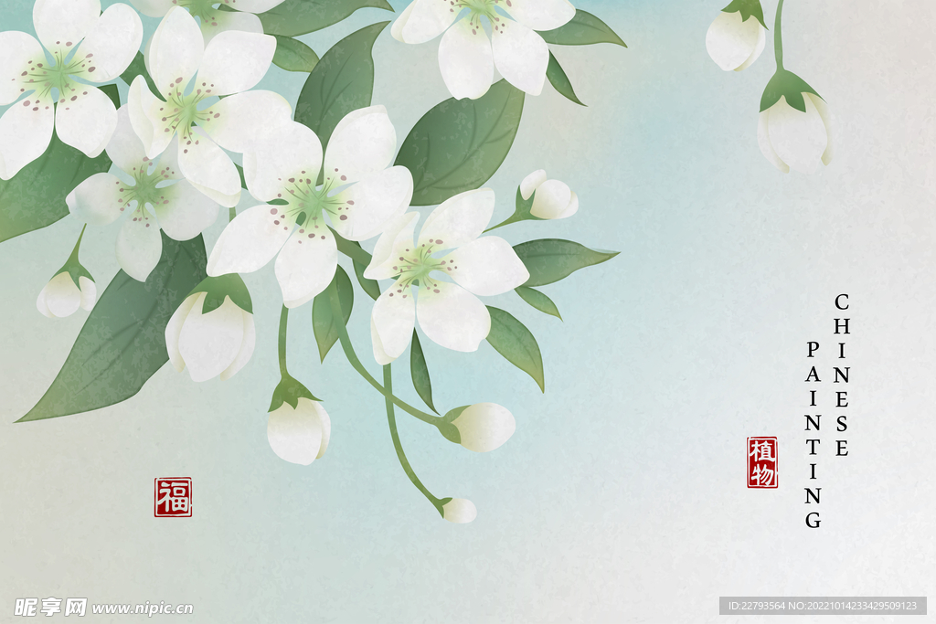 栀子花工笔插画