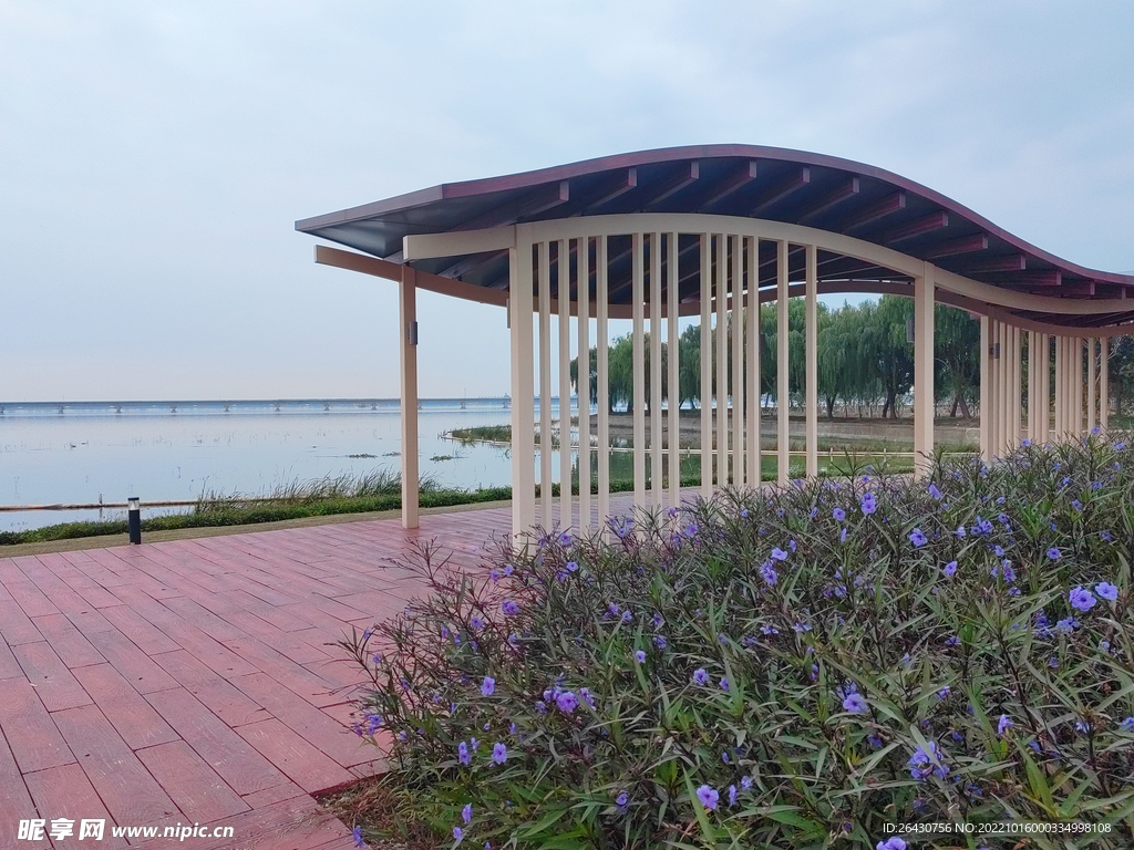 湿地湖边现代风格凉亭