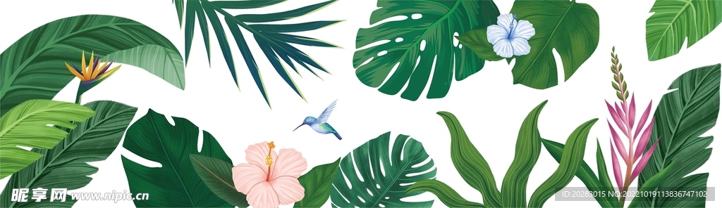 热带植物 玻璃贴