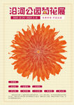 菊花展