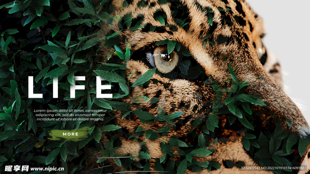 老虎海报  店铺首页